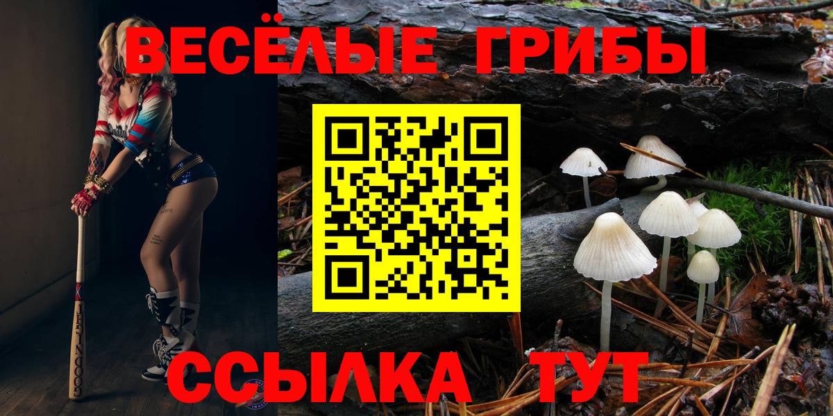 Псилоцибиновые грибы GOLDEN TEACHER  Вход с VPN  Псилоцибиновые грибы мицелий  Магадан 