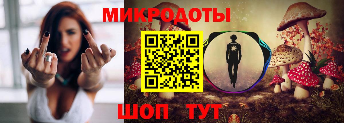 Псилоцибиновые грибы мухоморы Магадан