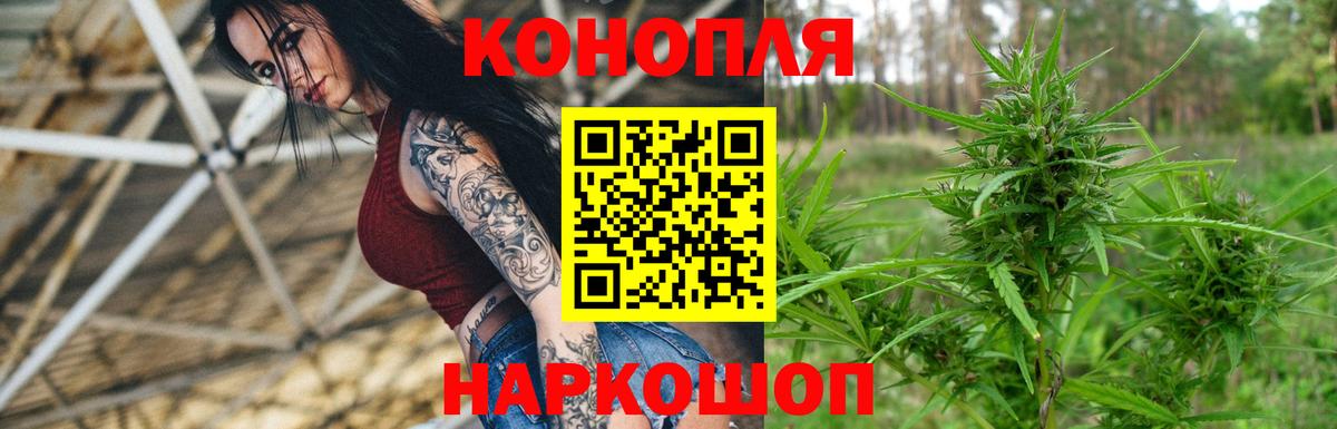 Бошки Шишки сатива  Вход с VPN  МАРИХУАНА Ganja  Магадан  Каннабис планчик  Бошки Шишки планчик 